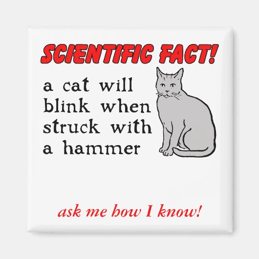 Cat Hammer Funny Magnet Humor (Voorkant)