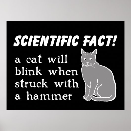 Cat Hammer Funny Print Poster Humor (Voorkant)