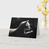 Cat Happy Birthday Kaart (Gele Bloem)