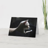 Cat Happy Birthday Kaart (Voorkant)