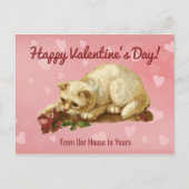 Cat Happy Valentine's Day Post Card Briefkaart (Voorkant)