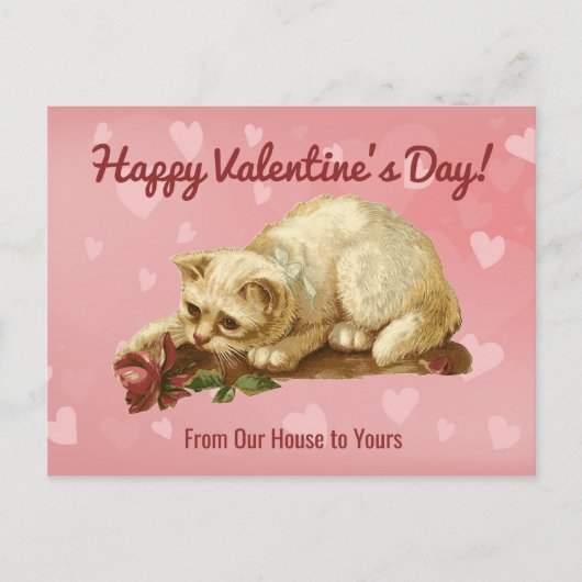 Cat Happy Valentine's Day Post Card Briefkaart (Voorkant)