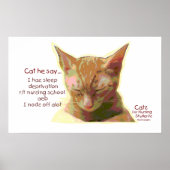 Cat he say - Nursing School Sleep Deprivation Poster (Voorkant)