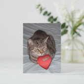 Cat Heart Bandaid Briefkaart (Staand voorkant)