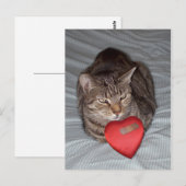 Cat Heart Bandaid Briefkaart (Voorkant / Achterkant)