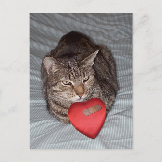 Cat Heart Bandaid Briefkaart (Voorkant)