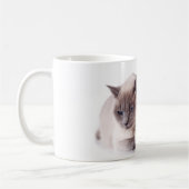 cat & hedgehog koffiemok (Links)
