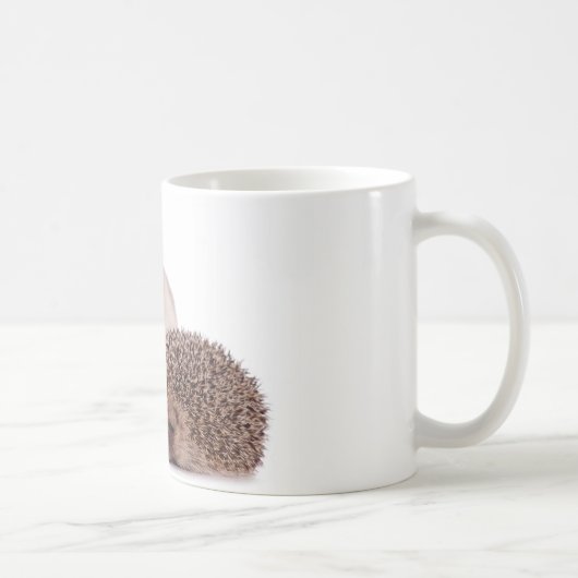 cat & hedgehog koffiemok (Rechts)