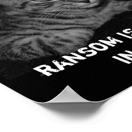 Cat heeft je tong ontvoerders Cat Criminals Spoof Poster (Hoek)