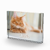 Cat Horizontale Foto Schattige Lettertype Naam (Rechts)