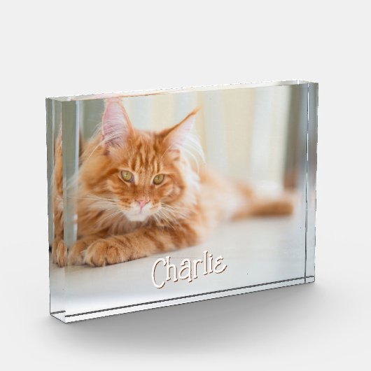 Cat Horizontale Foto Schattige Lettertype Naam (Links)