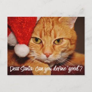 Cat Humor: Beste Santa Define Good   Pet Lover Feestdagenkaart