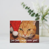 Cat Humor: Beste Santa Define Good | Pet Lover Feestdagenkaart (Staand voorkant)