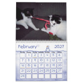 CAT HUMOR CALENDAR KALENDER (Feb 2027)