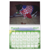 CAT HUMOR CALENDAR KALENDER (Mar 2027)
