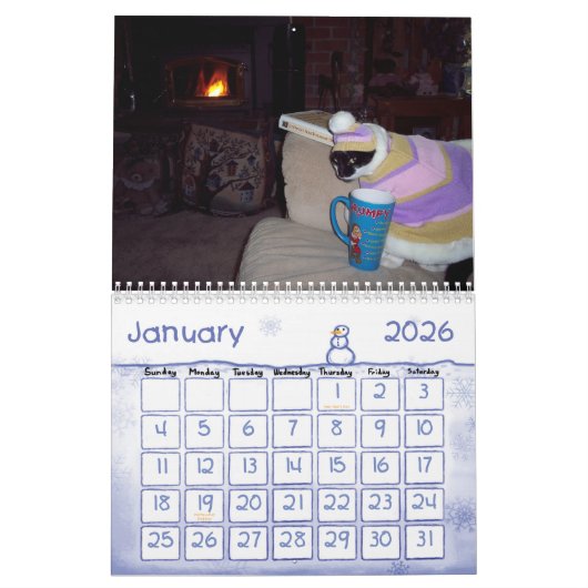 CAT HUMOR CALENDAR KALENDER (Jan 2026)