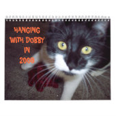 CAT HUMOR CALENDAR KALENDER (Hoes)