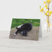 Cat Humor Verjaardag Kaart (Gele Bloem)