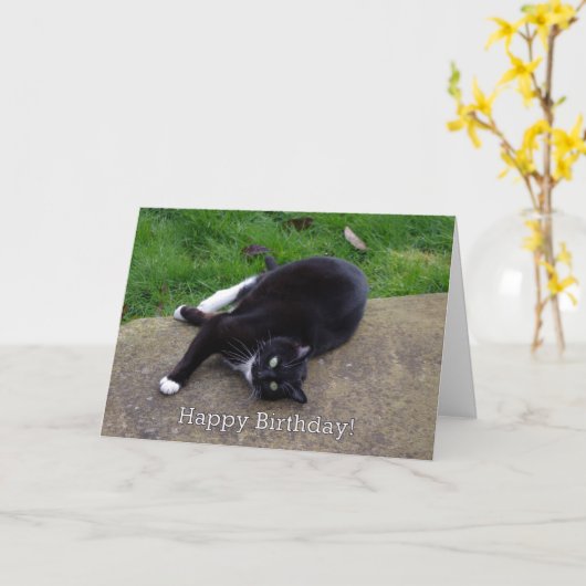 Cat Humor Verjaardag Kaart (Gele Bloem)