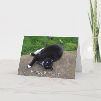 Cat Humor Verjaardag Kaart