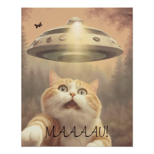 Cat I Believe UFO Wall Poster Art (Voorkant)
