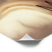 Cat I Believe UFO Wall Poster Art (Hoek)