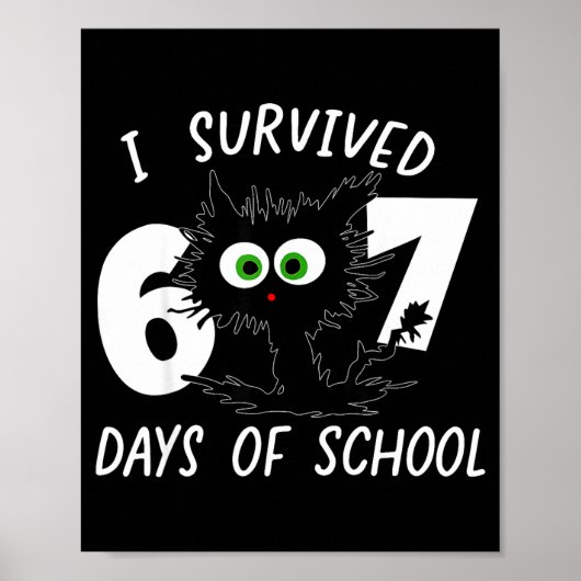 Cat I Survived 67 Days Of School Teachers Students Poster (Voorkant)