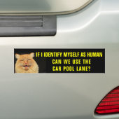 Cat identificeert zichzelf in autowrakken bumpersticker (Op auto)