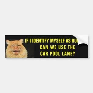 Cat identificeert zichzelf in autowrakken bumpersticker