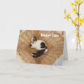 Cat in a Basket Greeting Card Kaart (Gele Bloem)