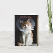 Cat in Cone Denkt aan jou, Cat Get Well Soon Kaart (Voorkant)