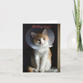 Cat in Cone Denkt aan jou, Cat Get Well Soon Kaart