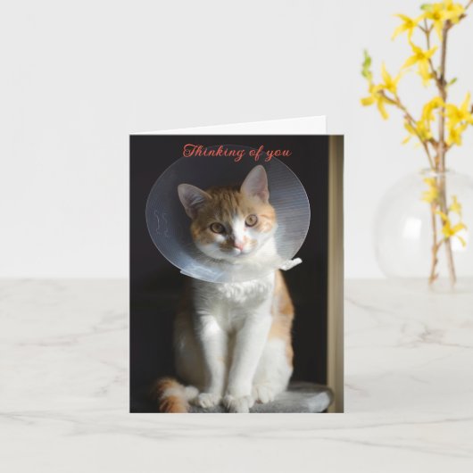 Cat in Cone Denkt aan jou, Cat Get Well Soon Kaart (Gele Bloem)