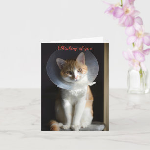 Cat in Cone Denkt aan jou, Cat Get Well Soon Kaart
