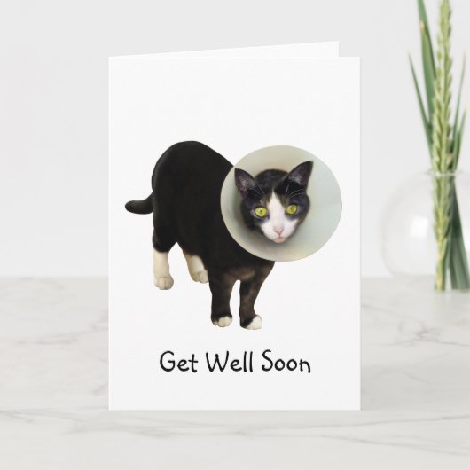 Cat in Cone Get Well Card Kaart (Voorkant)