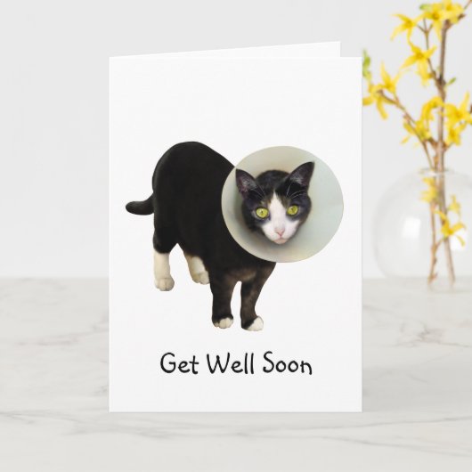 Cat in Cone Get Well Card Kaart (Gele Bloem)