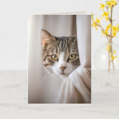 Cat In Curtain Verjaardag Humor Kaart (Gele Bloem)