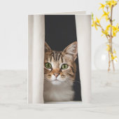 Cat In Curtain Verjaardag Humor Kaart (Gele Bloem)