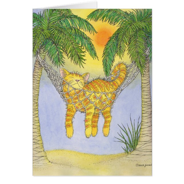 CAT in hammock (Voorkant)