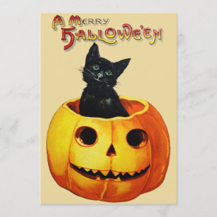 Cat in Pumpkin Halloween Party Uitnodiging