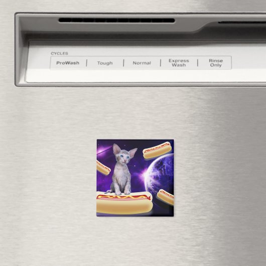 CAT IN RUIMTE MET HOT DOGS MAGNET (Insitu (Vaatwasser))