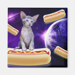 CAT IN RUIMTE MET HOT DOGS MAGNET