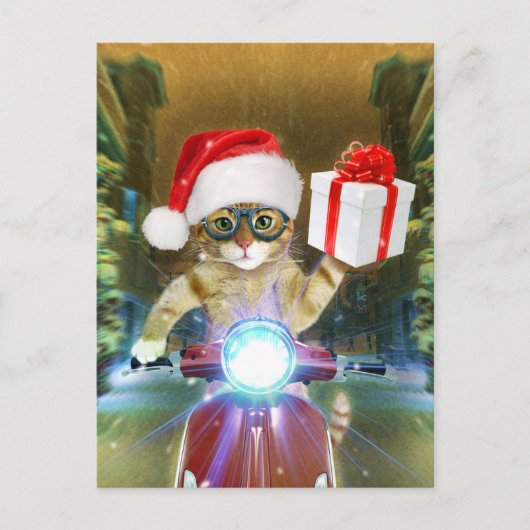 Cat in the Santa Claus hat delivers Christmas gift Briefkaart (Voorkant)