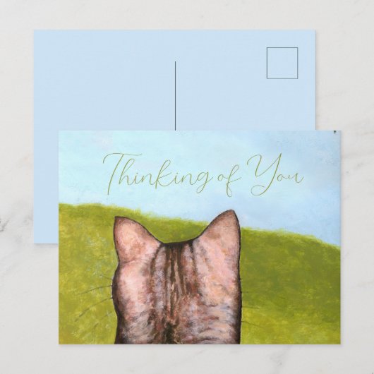 Cat in the Window  Briefkaart (Voorkant / Achterkant)