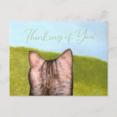 Cat in the Window  Briefkaart (Voorkant)