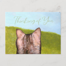 Cat in the Window  Briefkaart