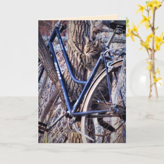 Cat in Tree with Bicycle Schattigee grappige katte Kaart (Gele Bloem)