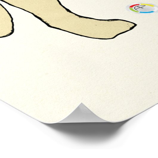 Cat Internal Digestive Anatomve Veterinary Chart Poster (Hoek)