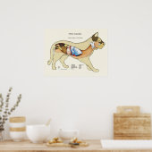Cat Internal Digestive Anatomve Veterinary Chart Poster (Keuken)