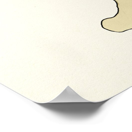 Cat Internal Organ Anatoman Veterinary Chart Poster (Hoek)